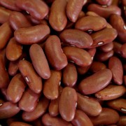 Kidney Beans - 4.75 lb - #10 Can