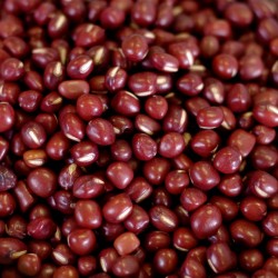 Organic Adzuki Beans - 84 oz - #10 can