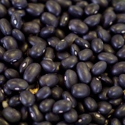 Organic Black Turtle Beans - 25 lb bag