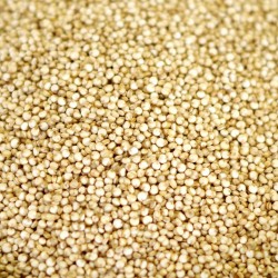 Organic Quinoa - 10 lb box