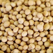 Organic Natural Soy Beans - 25 lb bag