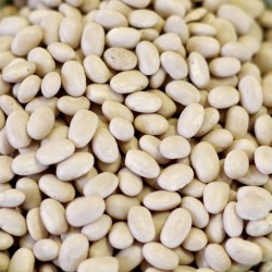 Organic Natural Small White Beans - 25 lb bag