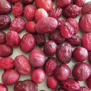 Cranberries Whole, Freeze Dried - 7 oz. #10 can