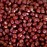 Organic Natural Adzuki Beans - 37 lb - 5 gal bucket