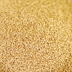 Natural Organic Amaranth - 37 lb Bucket