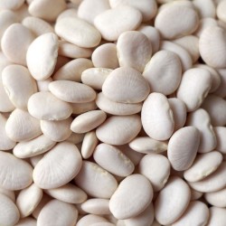 Baby Lima Beans - 88 oz. #10 can