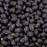 Organic Natural Black Turtle Beans - 35 lb - 5 gal Bucket