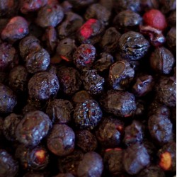 Blueberries, Freeze Dried - 10 oz -  #10 Can