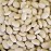 Great Northern Beans - 35 lb - 5 gal bucket