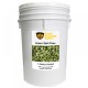 Green Split Peas, 37 lb 5 gal Bucket