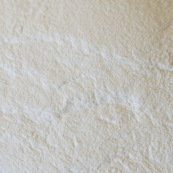 Powdered Milk, Non-fat - 55 lb. paper bag