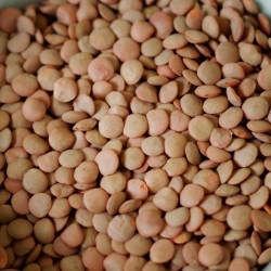 Lentils - 88 oz - #10 can