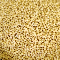 Hulled Millet - 50 lb bag