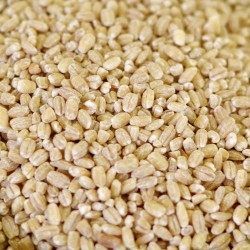 Pearled Barley - 88 oz. #10 can