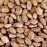 Organic Natural Pinto Beans, Dehydrated - 34 lb - 5 gal bucket