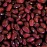 Organic Natural Small Red Beans - 34 lb - 5 gal Bucket