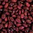 Organic Natural Small Red Beans - 34 lb - 5 gal Bucket