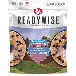 ReadyWise Vegan Adventure Meal - Coconut Blueberry Multi-grain Cereal - 6 Pack.