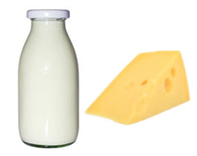 Dairy