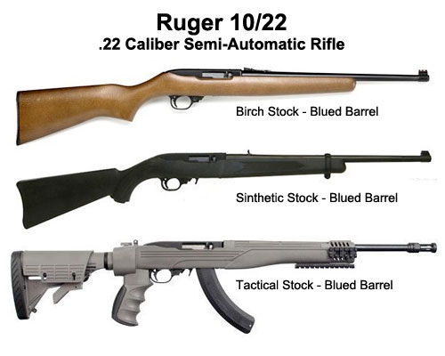 Ruger 10/22